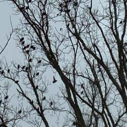 This night has opened my eyes