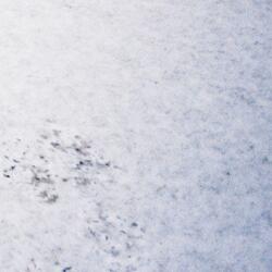 Last day of november