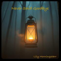 Never Said Goodbye