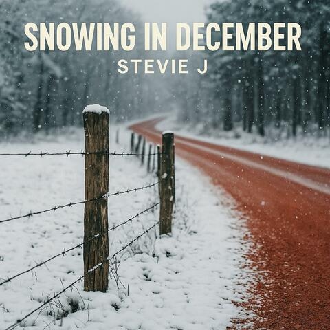 Snowing In December