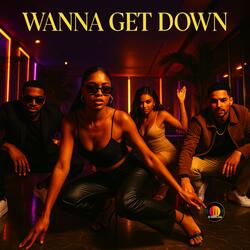 Wanna Get Down