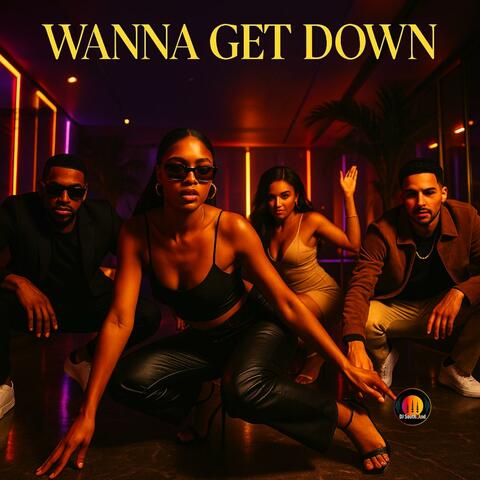 Wanna Get Down