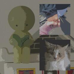 if cats disappeared from the world