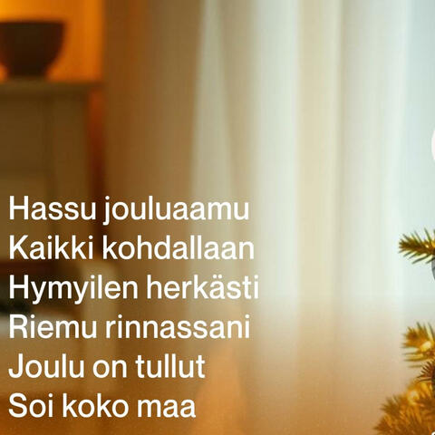 Hassu jouluaamu