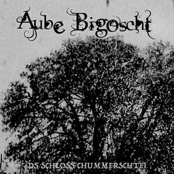 Ds Schloss Chummerschtei