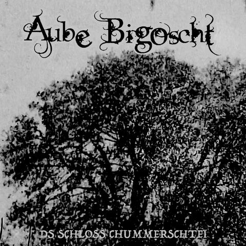 Ds Schloss Chummerschtei