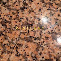 VIGILANT