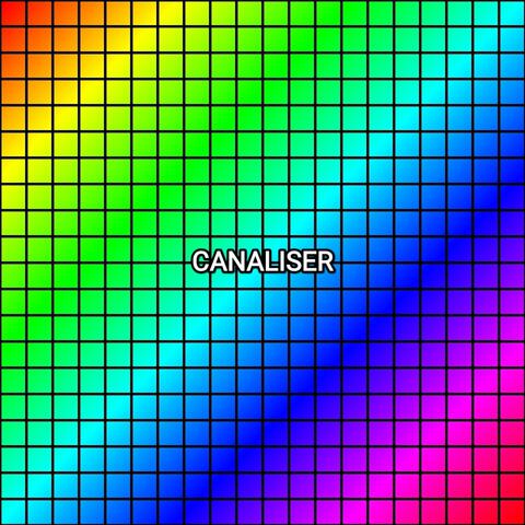 CANALISER