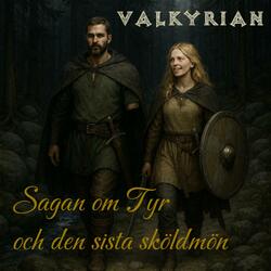 Prolog: Runstenen vid Uppåkra