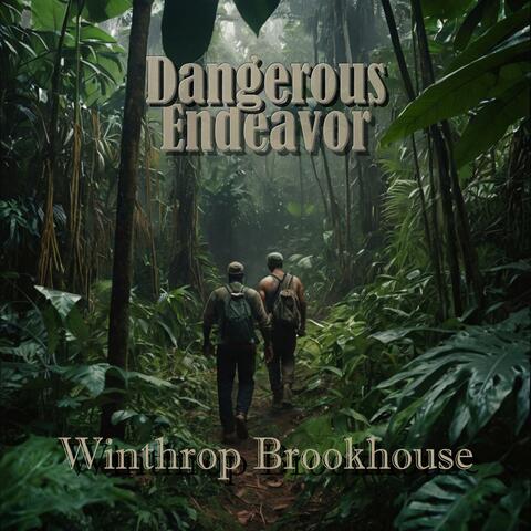 Dangerous Endeavor