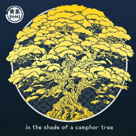 In the Shade of a Camphor Tree