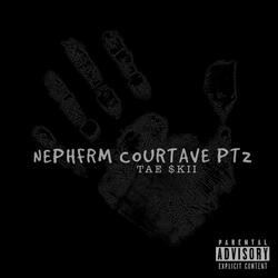NephFrm CourtAve Pt. 2