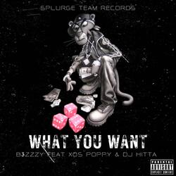 What you Want (feat. Xos Poppy & Dj Hitta)
