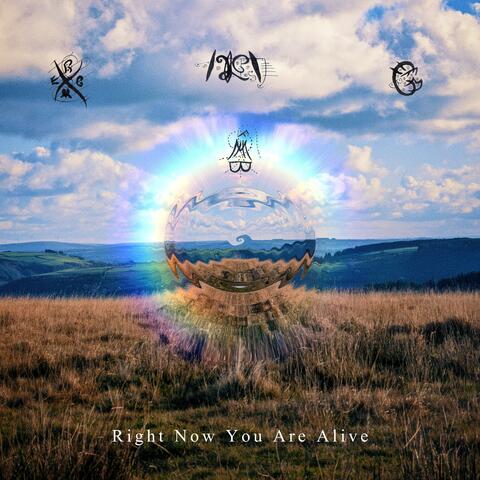 Right Now You Are Alive