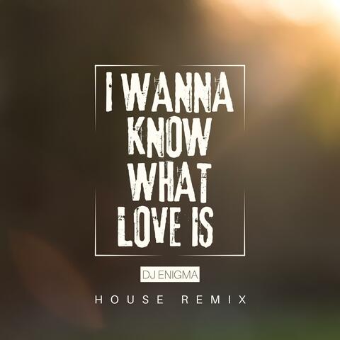 I Wanna Know What Love is (House)