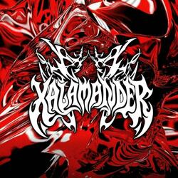 DEADDYNASTY. (BreaKKr Remix)