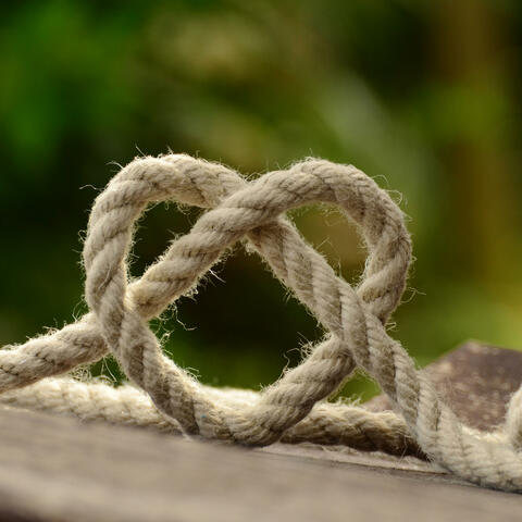 I Miss you, my love...