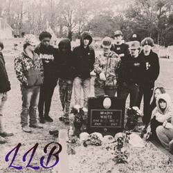 LLB 2nd annaul (2025 Version)