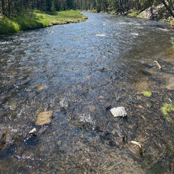 Because You're In It