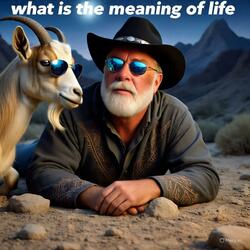 what is the meaning of life?