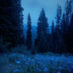 A walk in Kutná Hora