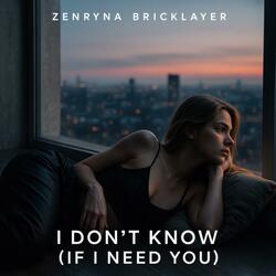 I Don't Know (If I Need You) (Zenryna Bricklayer Dance Mix)