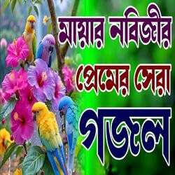 সেরা জিকির