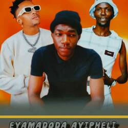 Amajarantiya x Mr Kangaroo Eyamadoda ayipheli