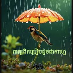 ពាក្យពិតប្រៀបដូចជាកាហ្វេ