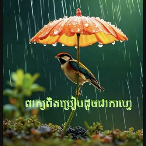 ពាក្យពិតប្រៀបដូចជាកាហ្វេ