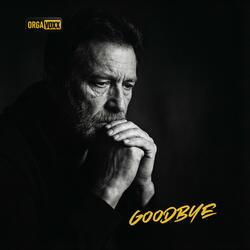 Goodbye