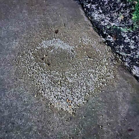 Back To You (feat. TFO)