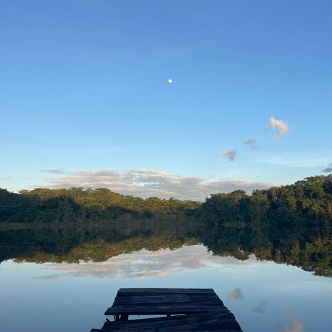 Connecting with Old Friends