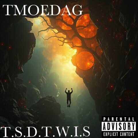 T.S.D.T.W.I.S