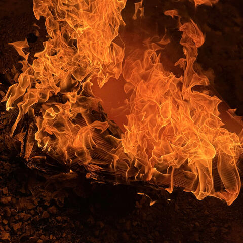 When Home Dont Want You