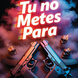 Tu no metes para