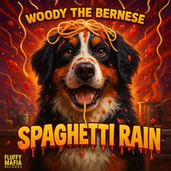 Spaghetti Rain