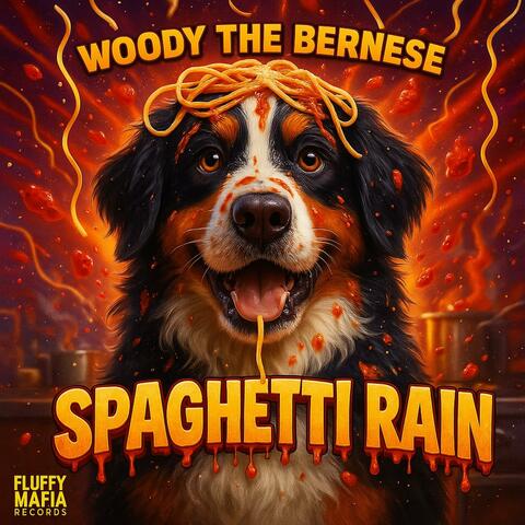 Spaghetti Rain