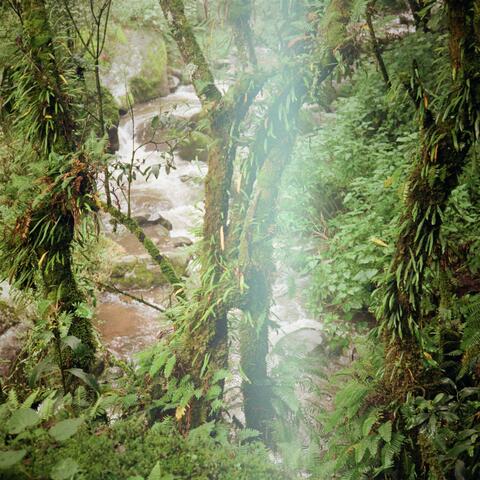 Bordando ríos hacia ti