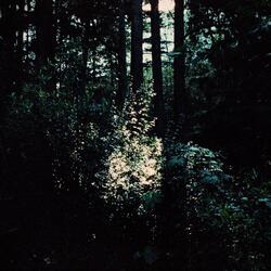 A las luces que permanecen