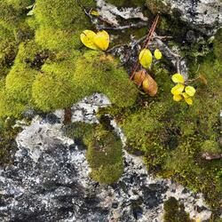 Como la Naturaleza, nada.