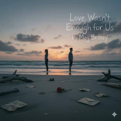 Love Wasn’t Enough for Us