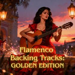 Fast Flamenco backing track in Dm (120 bpm)