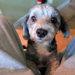 i can't act like i don't care (about your feelings)