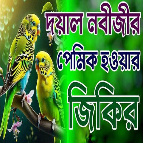 দয়াল নবীজির প্রেমিক হ‌ওয়ার জিকির