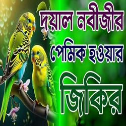দয়াল নবীজির প্রেমিক হ‌ওয়ার জিকির