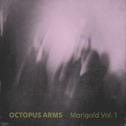 Marigold, Vol. 1