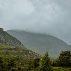 The Hills Have Been Heavy: For Sinead O'Connor