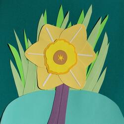 Daffodil