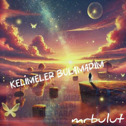 Kelimeler Bulamadım